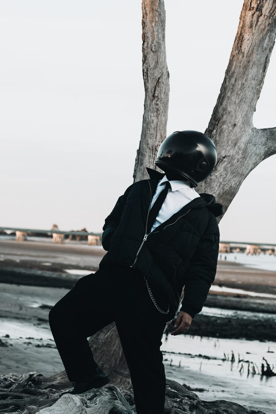 Seth — photograph 8 of 15