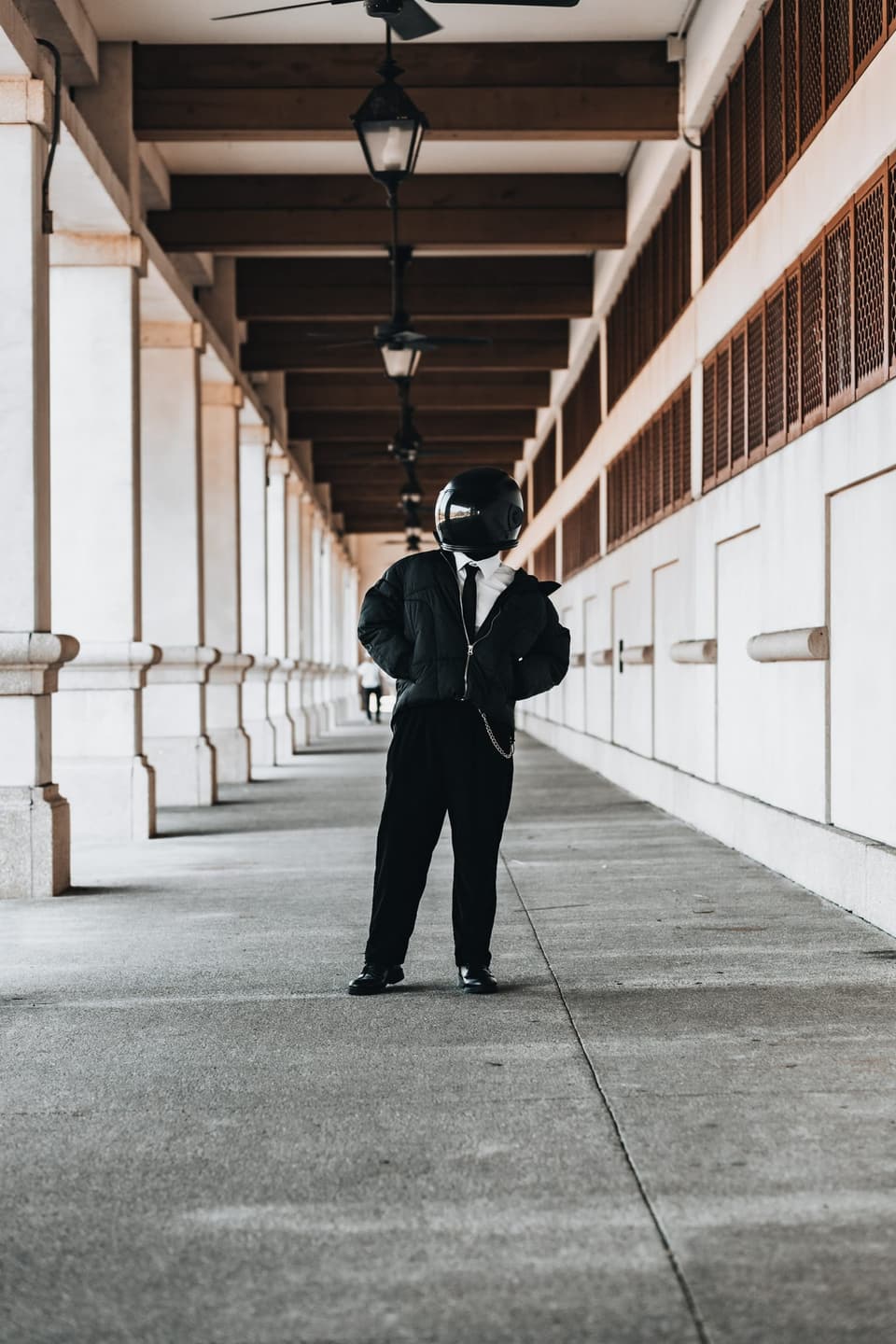 Seth — photograph 1 of 15